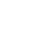 T2T_transparent_logo